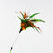 Juguete Interactivo de Pluma y Lana para Gatos