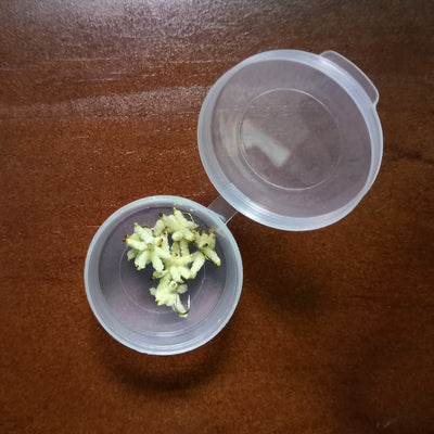 Anzuelo de Mosca con Cebo Artificial Simulado de Gusano Blanco para Pesca de Trucha - Image 6