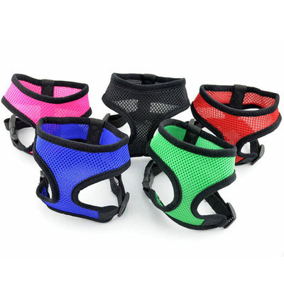 Arnés Chaleco Teddy con Cadena para Perros Pequeños