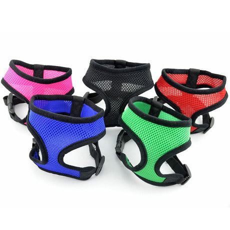 Arnés Chaleco Teddy con Cadena para Perros Pequeños