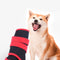 Zapatos Impermeables para Mascotas