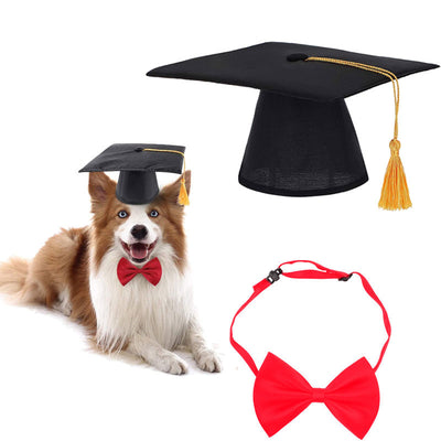 Sombrero Veterinario con Moño para Gatos - Disfraz Creativo - Image 8