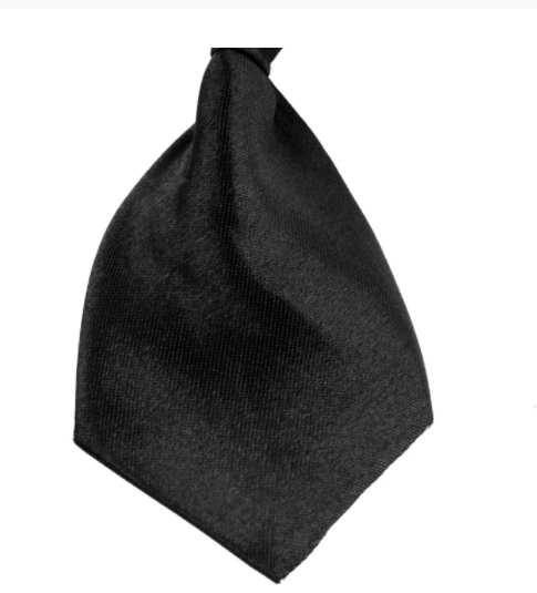 Disfraz de Veterinario para Perros - Gorro y Corbata - Image 6