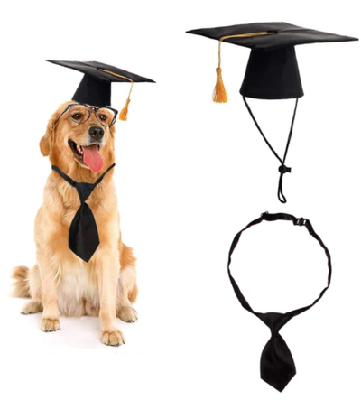 Disfraz de Veterinario para Perros - Gorro y Corbata - Image 5