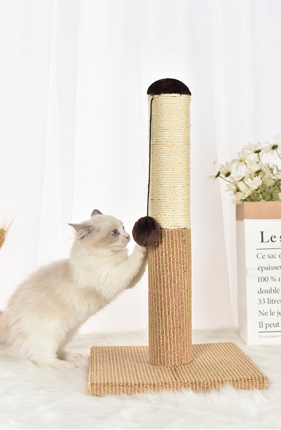 Torre Rascador para Gatos con Cuerda de Cáñamo y Bolas Interactivas - Image 8