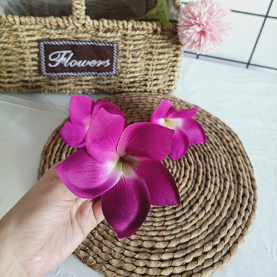 Accesorios de Foto Frangipaní Tamaño Grande