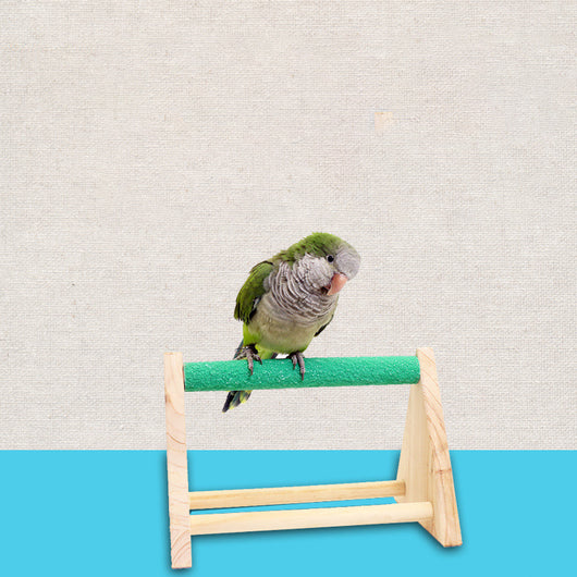 Solid wood bird stand with a green textured top perch and two smooth natural wood perches. - Image 5