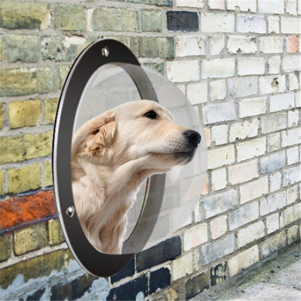 Ventana Acrílica Semicircular Transparente para Cercado de Mascotas