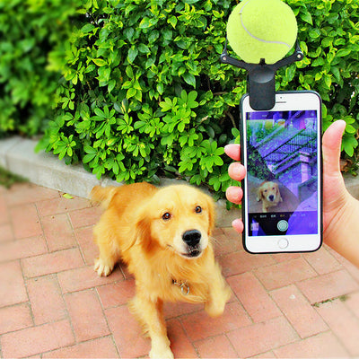 Black pet selfie artifact phone clip with blue accents, holding a bright neon yellow tennis ball, shown attached to a smartphone. - Image 4