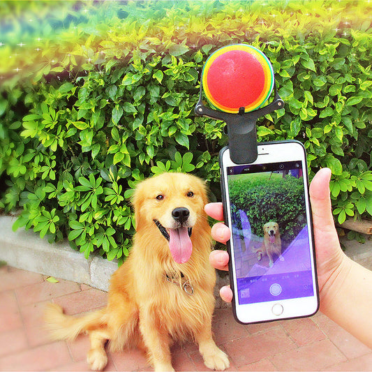 Black pet selfie artifact phone clip with blue accents, holding a bright neon yellow tennis ball, shown attached to a smartphone.