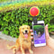 Clip para Selfies de Mascotas - Accesorios Divertidos para Fotos con tu Perro