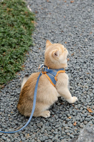 Arnés Reflectante para Gatos - Chaleco de Tracción Seguro para Paseos - Image 16