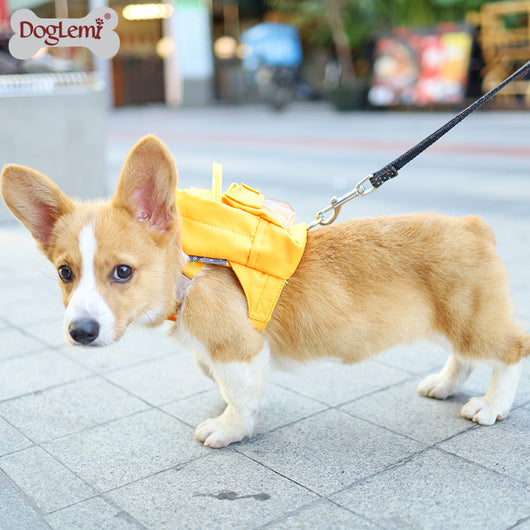 Mochila Escolar y de Viaje con Diseño de Gato y Cachorro - Image 7