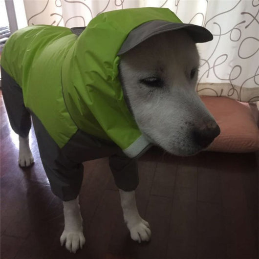 Abrigo Impermeable para Mascotas de Cuatro Patas - Image 4
