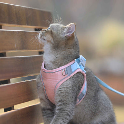 Arnés para Gato Estilo Chaleco con Cuerda de Tracción - Protección Antiestrangulamiento - Image 9