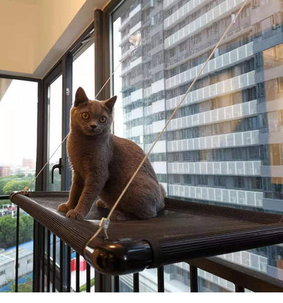 Hamaca Ventana para Gatos con Ventosas de Succión