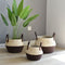 Macetero de Fibra Natural con Decoración de Algas Marinas