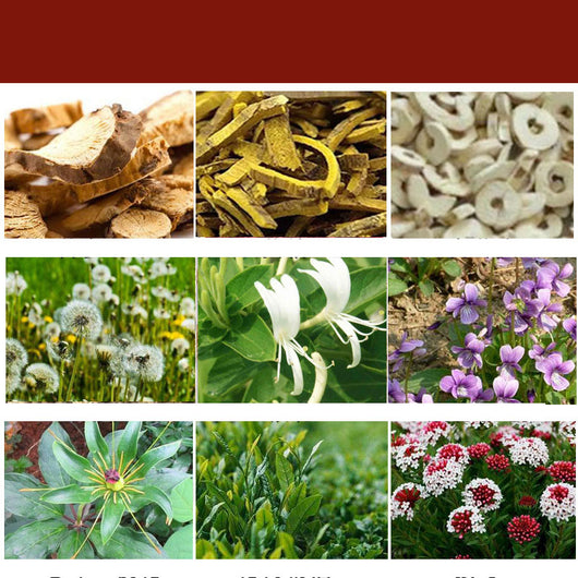 Loción Tibetana Pibao para Alivio de Picazón y Detoxificación - Image 6