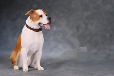 Péndulo Decorativo Perro en Resina - Figura Artesanal Relajante - Image 11