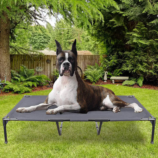 Cama Elevada para Mascotas en Camping - Resistente a Todas las Estaciones - Image 3