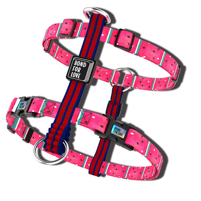 Arnés Pectoral Antiexplosión para Perros Grandes - Chaleco de Seguridad con Correa Reforzada - Image 10