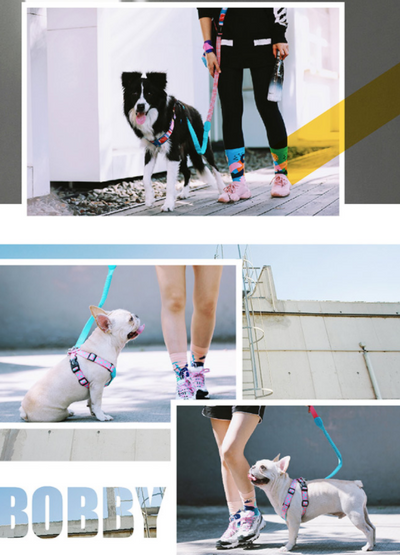 Arnés Protector Traqueal para Mascotas - Chaleco de Seguridad Anatómico - Image 12