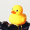 Duck 1