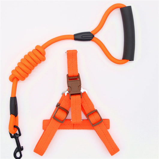 Correa para Perro Resistente y Cómoda - Image 16