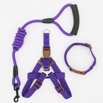 Correa para Perro Resistente y Cómoda - Image 28