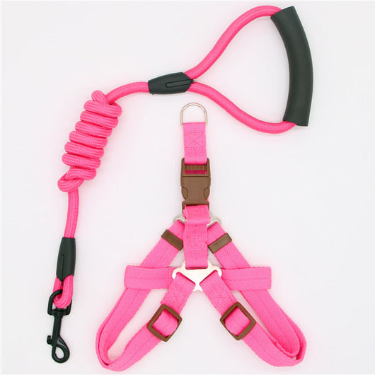 Correa para Perro Resistente y Cómoda - Image 2
