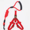 B S