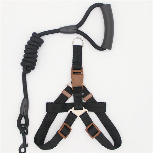Correa para Perro Resistente y Cómoda - Image 10