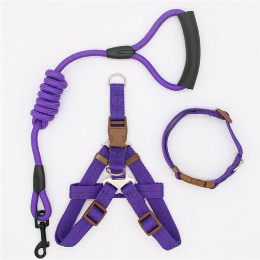 Correa para Perro Resistente y Cómoda - Image 12
