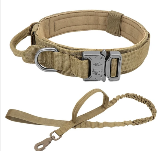Collar Táctico para Perro Grande - Correa Reforzada de Nylon Resistente - Image 8
