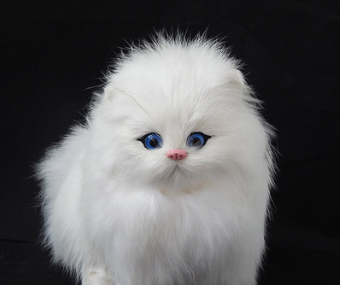 Gato de Peluche Realista Modelo Animal para Niños - Image 7