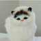 Gato de Peluche Realista Modelo Animal para Niños