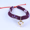 Collares Ajustables para Gatos y Perros - Accesorios de Mascota