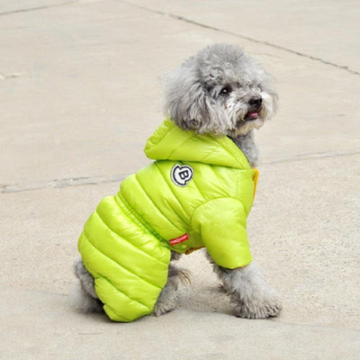 Abrigo Invernal para Perros Pequeños - Teddy, Bichón y Pomerania - Image 13