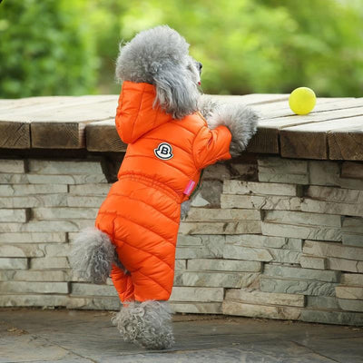 Abrigo Invernal para Perros Pequeños - Teddy, Bichón y Pomerania - Image 11