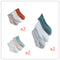 6 Models L