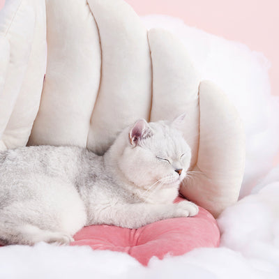 Cama Nido para Gatos Alas de Ángel - Cálida y Versátil para Todas las Estaciones - Image 9