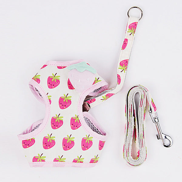 Correa de Paseo para Gatos con Diseño de Frutas - Resistente y Segura
