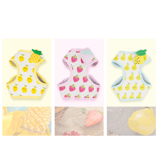 Correa de Paseo para Gatos con Diseño de Frutas - Resistente y Segura - Image 7