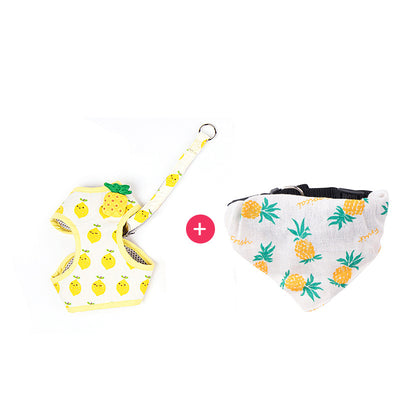 Correa de Paseo para Gatos con Diseño de Frutas - Resistente y Segura - Image 6