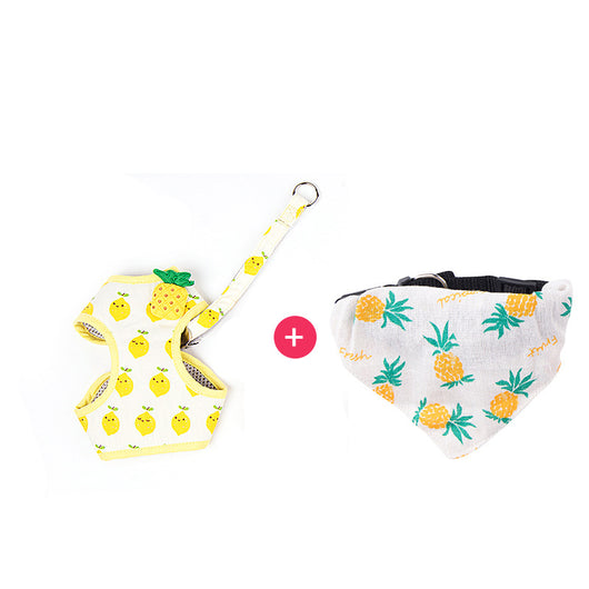 Correa de Paseo para Gatos con Diseño de Frutas - Resistente y Segura - Image 6