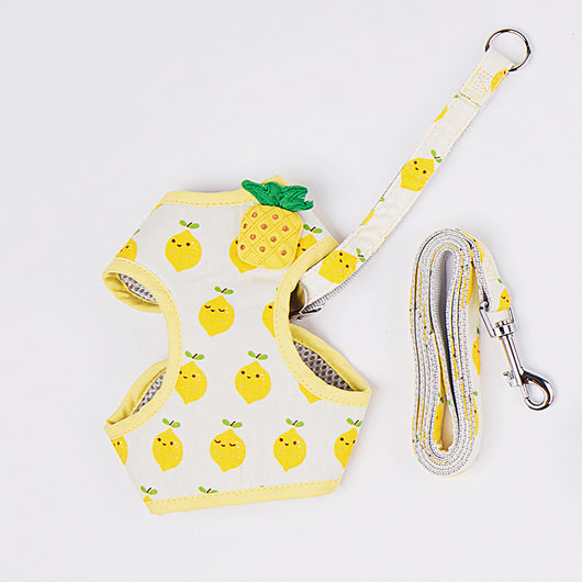 Correa de Paseo para Gatos con Diseño de Frutas - Resistente y Segura - Image 3