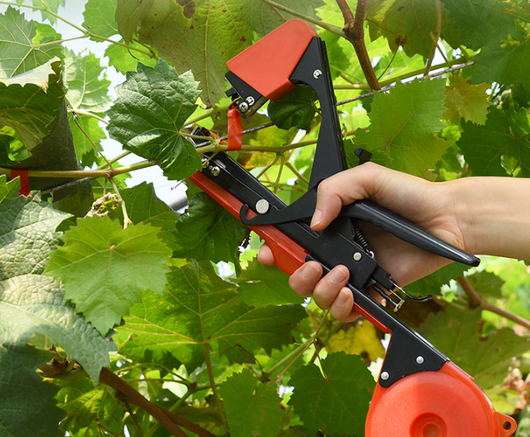 Atadora Automática para Viñas y Árboles Frutales - Image 5