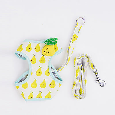 Correa de Paseo para Gatos con Diseño de Frutas - Resistente y Segura - Image 15