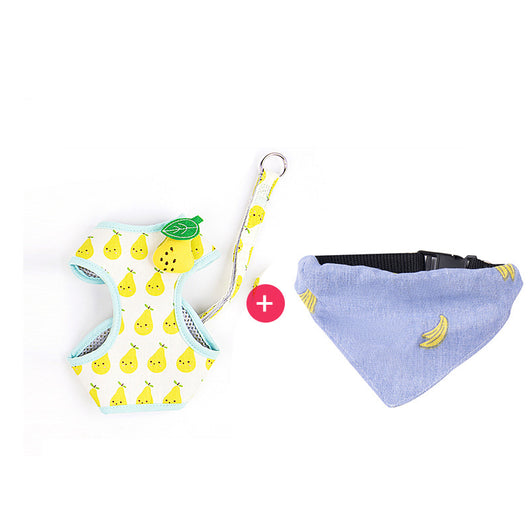 Correa de Paseo para Gatos con Diseño de Frutas - Resistente y Segura - Image 10
