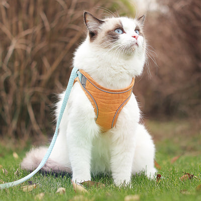 Correa Transpirable de Tracción para Gatos - Cómoda y Segura - Image 9